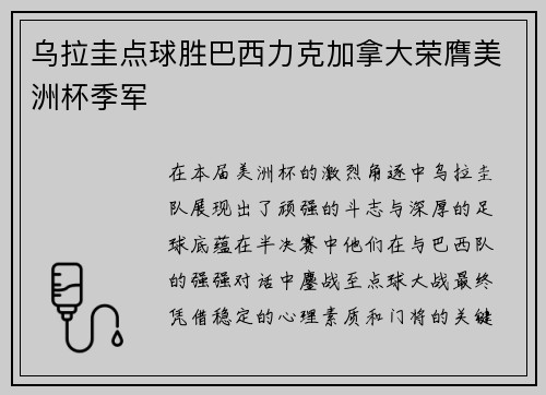 乌拉圭点球胜巴西力克加拿大荣膺美洲杯季军